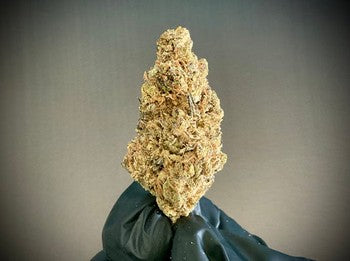 Critical Berries CBD
