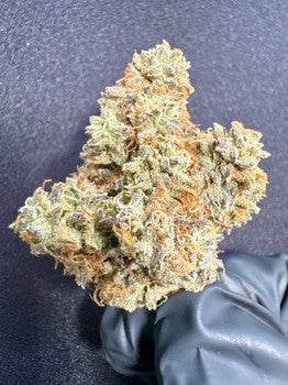 Dante's Inferno THCA